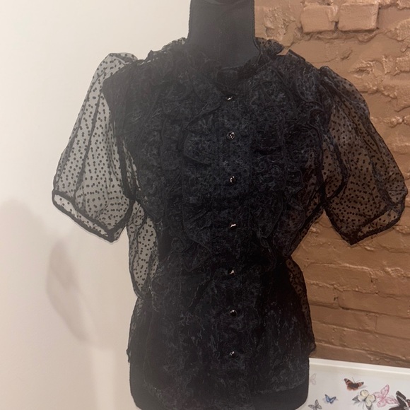 Blashe Tops - Elegant Black polkadot, Sheer Women's Top size medium by blashe never worn